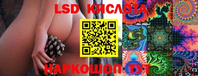PSILOCYBIN Новокубанск