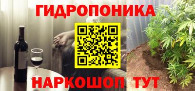 дмт Новозыбков