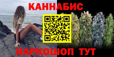 дмт Новозыбков