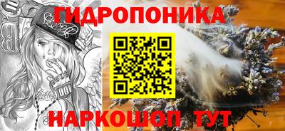 дмт Новозыбков