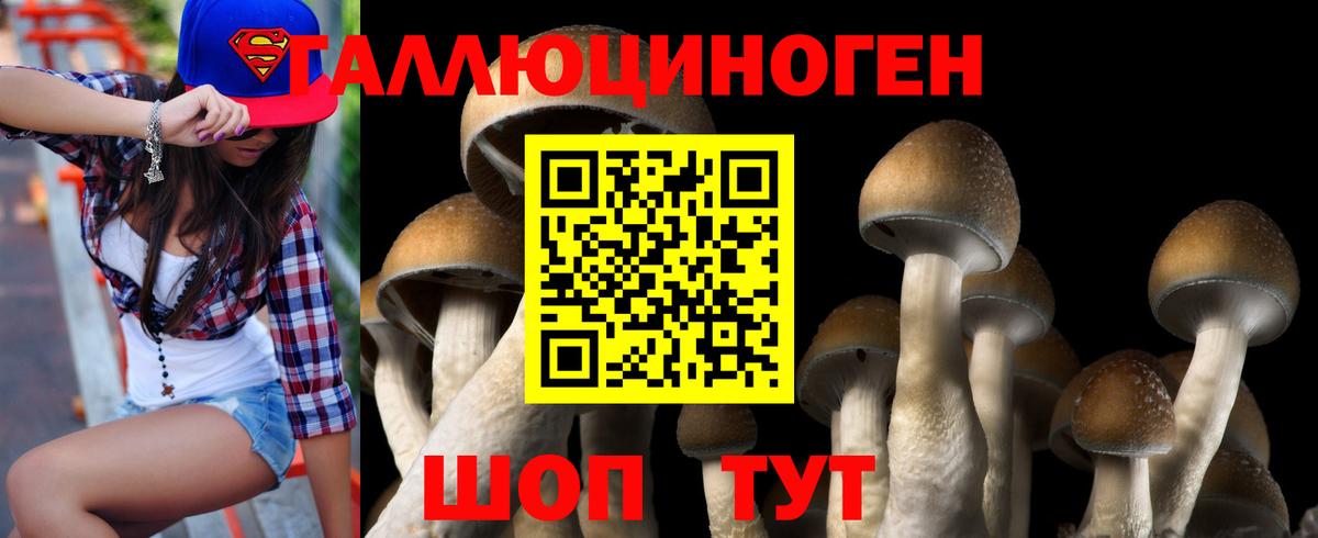 Галлюциногенные грибы Psilocybine cubensis  Галлюциногенные грибы Psilocybe  Соликамск  Вход с VPN 
